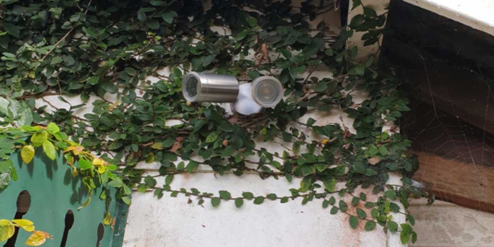 1911_Do-you-need-an-electrician-to-change-light-bulb Do you need an electrician to change a light bulb?